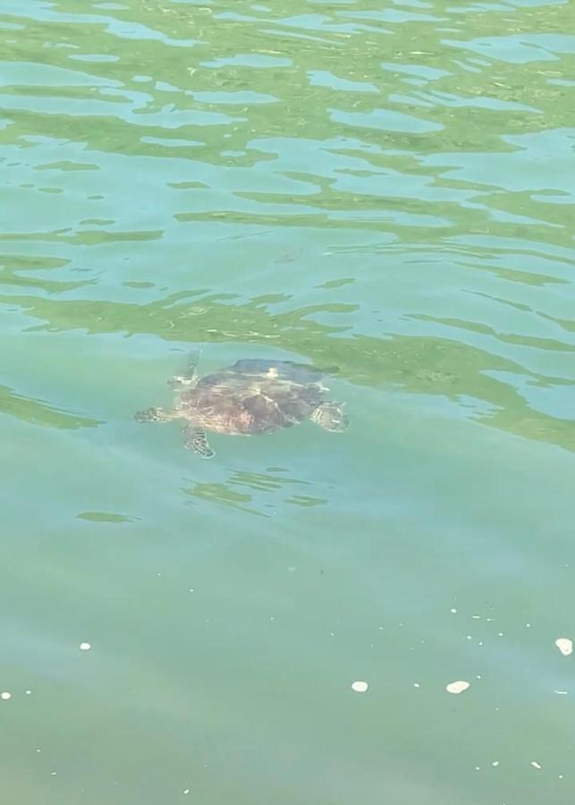 Gruta Da Sereia Suites Ubatuba Bagian luar foto